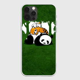 Чехол для iPhone 12 Pro с принтом Милая панда в Екатеринбурге, силикон | область печати: задняя сторона чехла, без боковых панелей | большая | джунгли | енот | зайка | милая | панда | пушистая