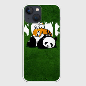 Чехол для iPhone 13 mini с принтом Милая панда в Екатеринбурге,  |  | большая | джунгли | енот | зайка | милая | панда | пушистая