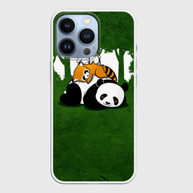 Чехол для iPhone 13 Pro с принтом Милая панда в Екатеринбурге,  |  | Тематика изображения на принте: большая | джунгли | енот | зайка | милая | панда | пушистая