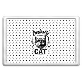 Магнит 45*70 с принтом Curiosity Cat в Екатеринбурге, Пластик | Размер: 78*52 мм; Размер печати: 70*45 | Тематика изображения на принте: animal | beast | cat | feline | gangsta | kill | king | kitty | meow | nature | гангстер | животное | зверь | король | кот | котенок | котик | кошка | мяу | природа