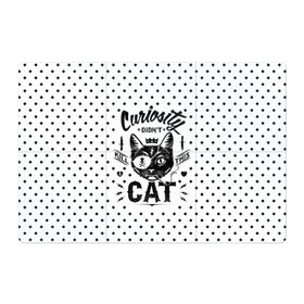 Магнитный плакат 3Х2 с принтом Curiosity Cat в Екатеринбурге, Полимерный материал с магнитным слоем | 6 деталей размером 9*9 см | Тематика изображения на принте: animal | beast | cat | feline | gangsta | kill | king | kitty | meow | nature | гангстер | животное | зверь | король | кот | котенок | котик | кошка | мяу | природа