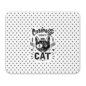 Коврик прямоугольный с принтом Curiosity Cat в Екатеринбурге, натуральный каучук | размер 230 х 185 мм; запечатка лицевой стороны | animal | beast | cat | feline | gangsta | kill | king | kitty | meow | nature | гангстер | животное | зверь | король | кот | котенок | котик | кошка | мяу | природа