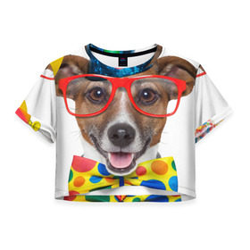 Женская футболка 3D укороченная с принтом Джек рассел - клоун в Екатеринбурге, 100% полиэстер | круглая горловина, длина футболки до линии талии, рукава с отворотами | волкодав | дворняжка | джек | джек рассел | домашние животные | любимец | мопс | овчарка | пес | песик | питомец | рассел | сенбернар | собака | собачка