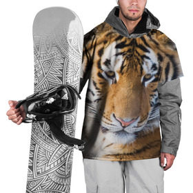 Накидка на куртку 3D с принтом Тигр в Екатеринбурге, 100% полиэстер |  | амурский | животные | киса | кот | котенок | кошка | пума | рысь | серый | тигр | хищник