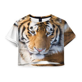Женская футболка 3D укороченная с принтом Тигр в Екатеринбурге, 100% полиэстер | круглая горловина, длина футболки до линии талии, рукава с отворотами | амурский | животные | киса | кот | котенок | кошка | пума | рысь | серый | тигр | хищник