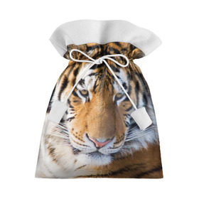 Подарочный 3D мешок с принтом Тигр в Екатеринбурге, 100% полиэстер | Размер: 29*39 см | Тематика изображения на принте: амурский | животные | киса | кот | котенок | кошка | пума | рысь | серый | тигр | хищник