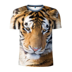 Мужская футболка 3D спортивная с принтом Тигр в Екатеринбурге, 100% полиэстер с улучшенными характеристиками | приталенный силуэт, круглая горловина, широкие плечи, сужается к линии бедра | Тематика изображения на принте: амурский | животные | киса | кот | котенок | кошка | пума | рысь | серый | тигр | хищник