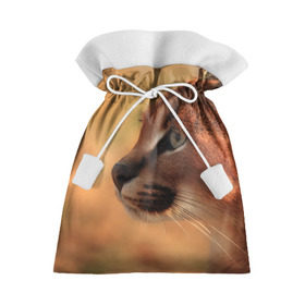 Подарочный 3D мешок с принтом Рысь в Екатеринбурге, 100% полиэстер | Размер: 29*39 см | амурский | животные | киса | кот | котенок | кошка | пума | рысь | серый | тигр | хищник