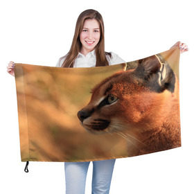 Флаг 3D с принтом Рысь в Екатеринбурге, 100% полиэстер | плотность ткани — 95 г/м2, размер — 67 х 109 см. Принт наносится с одной стороны | амурский | животные | киса | кот | котенок | кошка | пума | рысь | серый | тигр | хищник