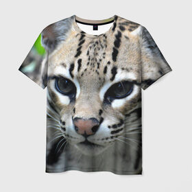 Мужская футболка 3D с принтом Дикая кошка в Екатеринбурге, 100% полиэфир | прямой крой, круглый вырез горловины, длина до линии бедер | Тематика изображения на принте: амурский | животные | киса | кот | котенок | кошка | лев | львица | пума | рысь | серый | тигр | хищник
