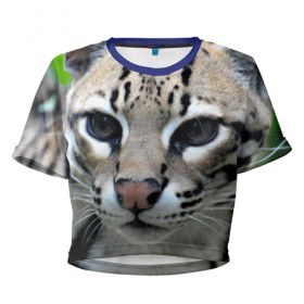 Женская футболка 3D укороченная с принтом Дикая кошка в Екатеринбурге, 100% полиэстер | круглая горловина, длина футболки до линии талии, рукава с отворотами | амурский | животные | киса | кот | котенок | кошка | лев | львица | пума | рысь | серый | тигр | хищник