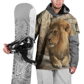 Накидка на куртку 3D с принтом Лев в Екатеринбурге, 100% полиэстер |  | амурский | животные | киса | кот | котенок | кошка | лев | львица | пума | рысь | серый | тигр | хищник