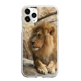 Чехол для iPhone 11 Pro матовый с принтом Лев в Екатеринбурге, Силикон |  | амурский | животные | киса | кот | котенок | кошка | лев | львица | пума | рысь | серый | тигр | хищник