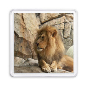 Магнит 55*55 с принтом Лев в Екатеринбурге, Пластик | Размер: 65*65 мм; Размер печати: 55*55 мм | амурский | животные | киса | кот | котенок | кошка | лев | львица | пума | рысь | серый | тигр | хищник