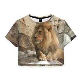 Женская футболка 3D укороченная с принтом Лев в Екатеринбурге, 100% полиэстер | круглая горловина, длина футболки до линии талии, рукава с отворотами | амурский | животные | киса | кот | котенок | кошка | лев | львица | пума | рысь | серый | тигр | хищник