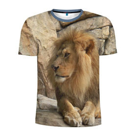 Мужская футболка 3D спортивная с принтом Лев в Екатеринбурге, 100% полиэстер с улучшенными характеристиками | приталенный силуэт, круглая горловина, широкие плечи, сужается к линии бедра | амурский | животные | киса | кот | котенок | кошка | лев | львица | пума | рысь | серый | тигр | хищник