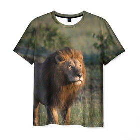 Мужская футболка 3D с принтом Лев в Екатеринбурге, 100% полиэфир | прямой крой, круглый вырез горловины, длина до линии бедер | амурский | животные | киса | кот | котенок | кошка | лев | львица | пума | рысь | серый | тигр | хищник