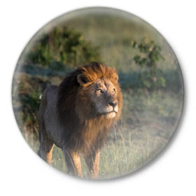 Значок с принтом Лев в Екатеринбурге,  металл | круглая форма, металлическая застежка в виде булавки | амурский | животные | киса | кот | котенок | кошка | лев | львица | пума | рысь | серый | тигр | хищник
