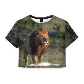 Женская футболка 3D укороченная с принтом Лев в Екатеринбурге, 100% полиэстер | круглая горловина, длина футболки до линии талии, рукава с отворотами | амурский | животные | киса | кот | котенок | кошка | лев | львица | пума | рысь | серый | тигр | хищник