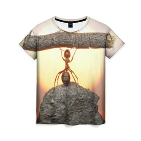Женская футболка 3D с принтом Муравей в Екатеринбурге, 100% полиэфир ( синтетическое хлопкоподобное полотно) | прямой крой, круглый вырез горловины, длина до линии бедер | Тематика изображения на принте: ветка | жук | закат | камень | муравей | насекомые | природа