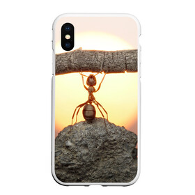 Чехол для iPhone XS Max матовый с принтом Муравей в Екатеринбурге, Силикон | Область печати: задняя сторона чехла, без боковых панелей | Тематика изображения на принте: ветка | жук | закат | камень | муравей | насекомые | природа