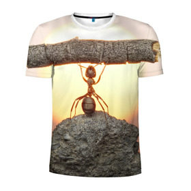 Мужская футболка 3D спортивная с принтом Муравей в Екатеринбурге, 100% полиэстер с улучшенными характеристиками | приталенный силуэт, круглая горловина, широкие плечи, сужается к линии бедра | ветка | жук | закат | камень | муравей | насекомые | природа