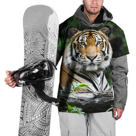 Накидка на куртку 3D с принтом Тигр в джунглях в Екатеринбурге, 100% полиэстер |  | амурский | животные | зверь | киса | кот | котенок | кошка | тигр | хищник
