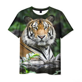 Мужская футболка 3D с принтом Тигр в джунглях в Екатеринбурге, 100% полиэфир | прямой крой, круглый вырез горловины, длина до линии бедер | амурский | животные | зверь | киса | кот | котенок | кошка | тигр | хищник