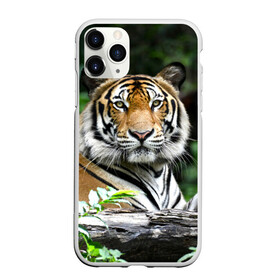 Чехол для iPhone 11 Pro матовый с принтом Тигр в джунглях в Екатеринбурге, Силикон |  | амурский | животные | зверь | киса | кот | котенок | кошка | тигр | хищник