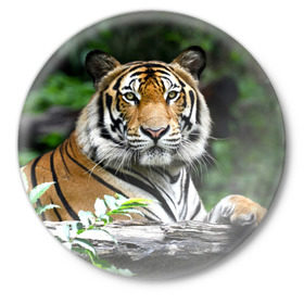 Значок с принтом Тигр в джунглях в Екатеринбурге,  металл | круглая форма, металлическая застежка в виде булавки | амурский | животные | зверь | киса | кот | котенок | кошка | тигр | хищник