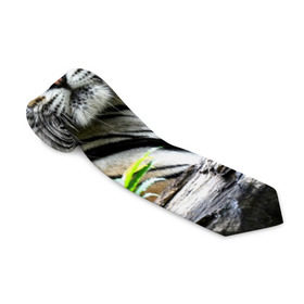 Галстук 3D с принтом Тигр в джунглях в Екатеринбурге, 100% полиэстер | Длина 148 см; Плотность 150-180 г/м2 | Тематика изображения на принте: амурский | животные | зверь | киса | кот | котенок | кошка | тигр | хищник