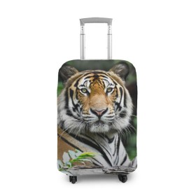 Чехол для чемодана 3D с принтом Тигр в джунглях в Екатеринбурге, 86% полиэфир, 14% спандекс | двустороннее нанесение принта, прорези для ручек и колес | амурский | животные | зверь | киса | кот | котенок | кошка | тигр | хищник