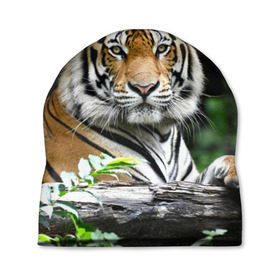 Шапка 3D с принтом Тигр в джунглях в Екатеринбурге, 100% полиэстер | универсальный размер, печать по всей поверхности изделия | Тематика изображения на принте: амурский | животные | зверь | киса | кот | котенок | кошка | тигр | хищник