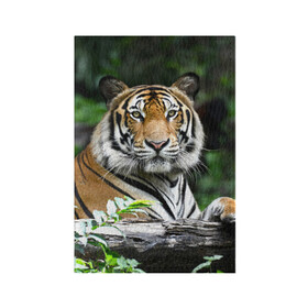 Обложка для паспорта матовая кожа с принтом Тигр в джунглях в Екатеринбурге, натуральная матовая кожа | размер 19,3 х 13,7 см; прозрачные пластиковые крепления | Тематика изображения на принте: амурский | животные | зверь | киса | кот | котенок | кошка | тигр | хищник