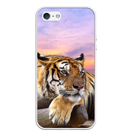 Чехол для iPhone 5/5S матовый с принтом Тигр в Екатеринбурге, Силикон | Область печати: задняя сторона чехла, без боковых панелей | амурский | животные | зверь | киса | кот | котенок | кошка | тигр | хищник