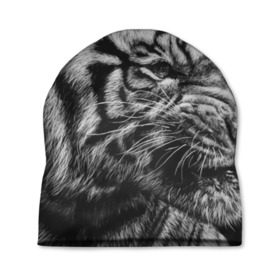 Шапка 3D с принтом Тигр в Екатеринбурге, 100% полиэстер | универсальный размер, печать по всей поверхности изделия | амурский | животные | зверь | киса | кот | котенок | кошка | серый | тигр | тигренок | хищник
