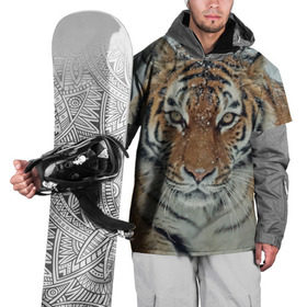 Накидка на куртку 3D с принтом Тигр в Екатеринбурге, 100% полиэстер |  | амурский | животные | зверь | киса | кот | котенок | кошка | тигр | хищник
