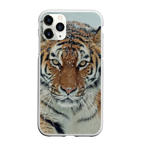 Чехол для iPhone 11 Pro матовый с принтом Тигр в Екатеринбурге, Силикон |  | амурский | животные | зверь | киса | кот | котенок | кошка | тигр | хищник
