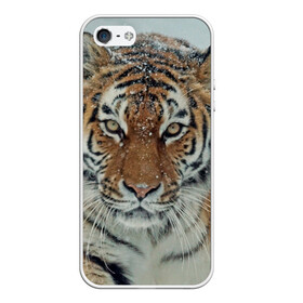 Чехол для iPhone 5/5S матовый с принтом Тигр в Екатеринбурге, Силикон | Область печати: задняя сторона чехла, без боковых панелей | амурский | животные | зверь | киса | кот | котенок | кошка | тигр | хищник