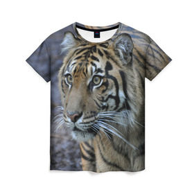 Женская футболка 3D с принтом Тигр в Екатеринбурге, 100% полиэфир ( синтетическое хлопкоподобное полотно) | прямой крой, круглый вырез горловины, длина до линии бедер | амурский | животные | зверь | киса | кот | котенок | кошка | тигр | хищник