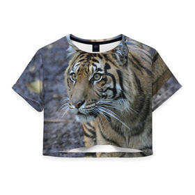 Женская футболка 3D укороченная с принтом Тигр в Екатеринбурге, 100% полиэстер | круглая горловина, длина футболки до линии талии, рукава с отворотами | амурский | животные | зверь | киса | кот | котенок | кошка | тигр | хищник