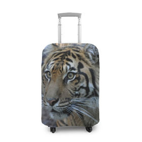 Чехол для чемодана 3D с принтом Тигр в Екатеринбурге, 86% полиэфир, 14% спандекс | двустороннее нанесение принта, прорези для ручек и колес | амурский | животные | зверь | киса | кот | котенок | кошка | тигр | хищник