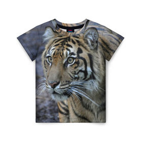 Детская футболка 3D с принтом Тигр в Екатеринбурге, 100% гипоаллергенный полиэфир | прямой крой, круглый вырез горловины, длина до линии бедер, чуть спущенное плечо, ткань немного тянется | амурский | животные | зверь | киса | кот | котенок | кошка | тигр | хищник