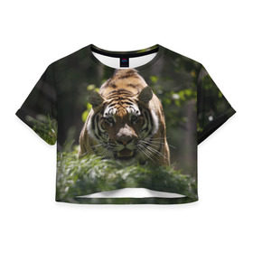 Женская футболка 3D укороченная с принтом Тигр в Екатеринбурге, 100% полиэстер | круглая горловина, длина футболки до линии талии, рукава с отворотами | амурский | животные | зверь | киса | кот | котенок | кошка | тигр | хищник