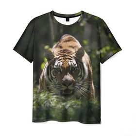 Мужская футболка 3D с принтом Тигр в Екатеринбурге, 100% полиэфир | прямой крой, круглый вырез горловины, длина до линии бедер | амурский | животные | зверь | киса | кот | котенок | кошка | тигр | хищник