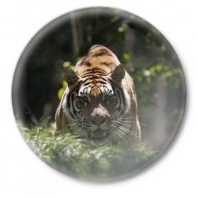 Значок с принтом Тигр в Екатеринбурге,  металл | круглая форма, металлическая застежка в виде булавки | амурский | животные | зверь | киса | кот | котенок | кошка | тигр | хищник