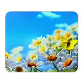 Коврик прямоугольный с принтом Ромашка полевая в Екатеринбурге, натуральный каучук | размер 230 х 185 мм; запечатка лицевой стороны | flower | лето | поле | полевой цветок | цветочки | цветы