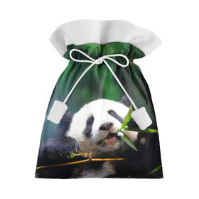 Подарочный 3D мешок с принтом Панда на ветке в Екатеринбурге, 100% полиэстер | Размер: 29*39 см | животные | лес | медведь | медвежонок | панда | природа