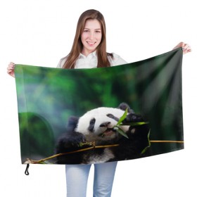 Флаг 3D с принтом Панда на ветке в Екатеринбурге, 100% полиэстер | плотность ткани — 95 г/м2, размер — 67 х 109 см. Принт наносится с одной стороны | животные | лес | медведь | медвежонок | панда | природа