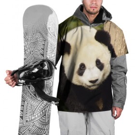 Накидка на куртку 3D с принтом Панда на дереве в Екатеринбурге, 100% полиэстер |  | Тематика изображения на принте: животные | лес | медведь | медвежонок | панда | природа